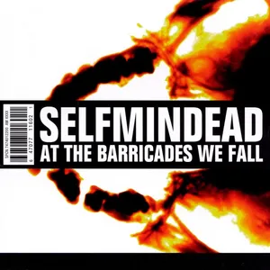 At the barricades we fall